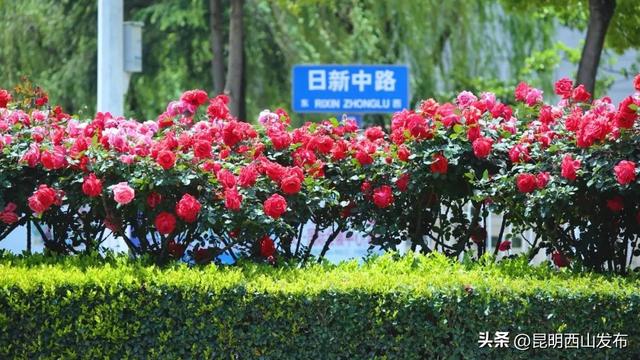 西山旅居看这一篇就够了！第一弹：西福路片区