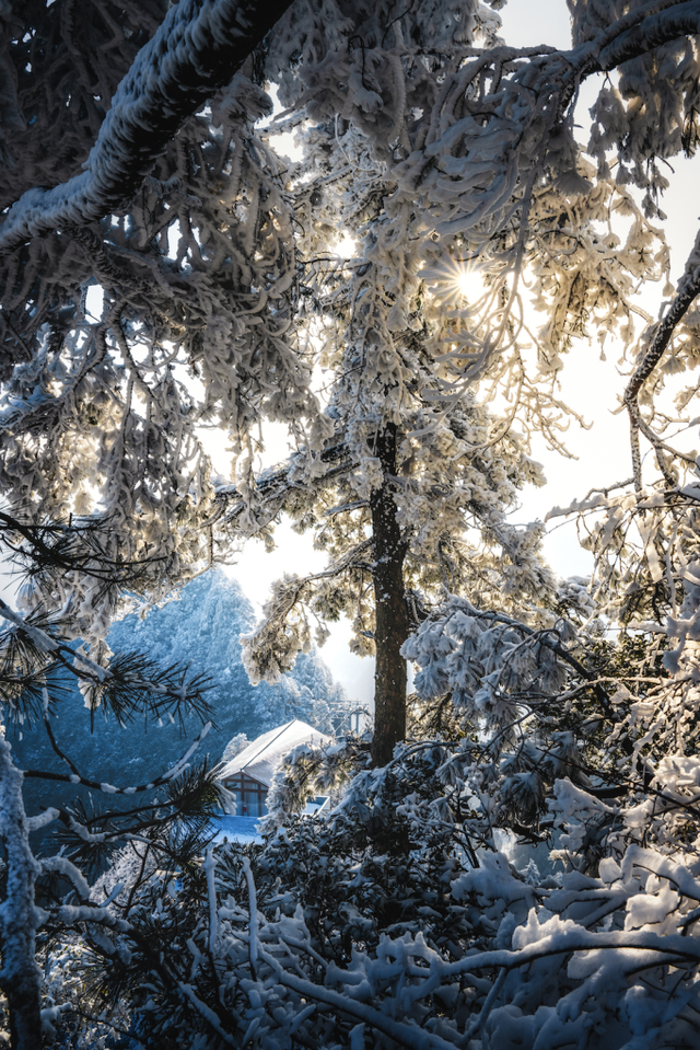 接下来的光雾山，四川人必游！耍雪、赏雪，一次性拿捏多重快乐～