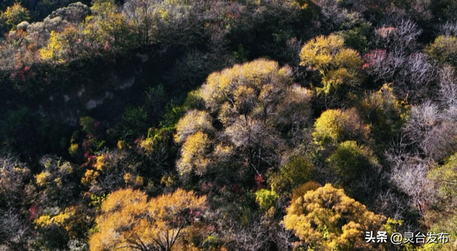 把灵台秋韵的山水诗意 都藏进这个秋天里
