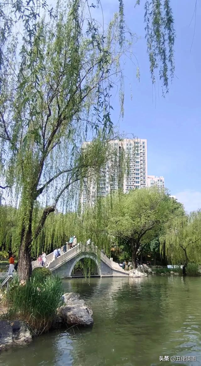 自拍影集（30）紫竹院公园风景绿水轻舟·上