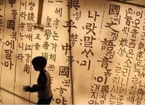 韩国教授警告：全世界只有韩国看不起中国，但中国眼里却没有韩国