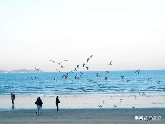今年去过最喜欢的海滨城市烟台,这份4天3夜懒人玩法记得提前收藏
