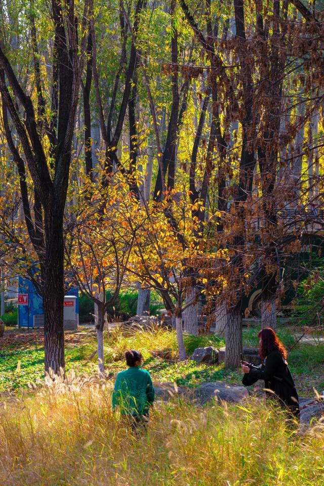 北京的秋天一定要奥林匹克森林公园！就是一场盛大的秋天盛宴