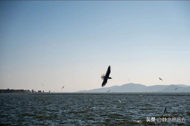 我是河南人，一家人来了趟云南昆明忍不住有五个小疑问想和你聊聊