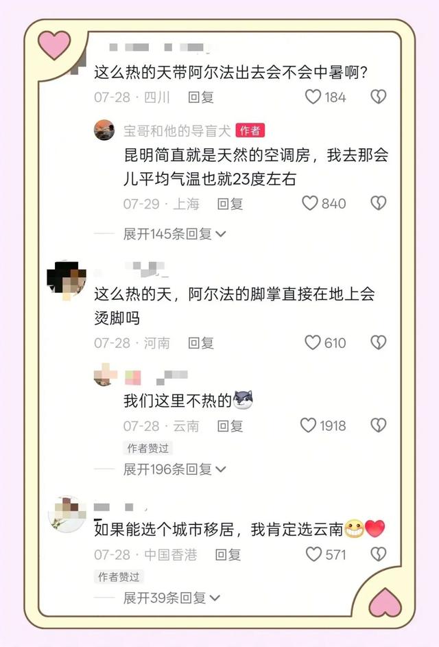 昆明这8家酒店可携导盲犬入住！网友：这波操作太有爱了~