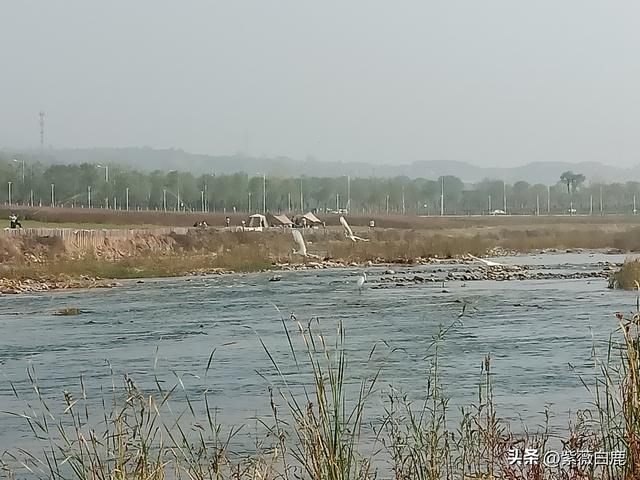 灞桥——这水，这柳