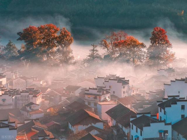 快收好！11月赏秋最值得去的地方，随便挑一个就出发，绝对不白去