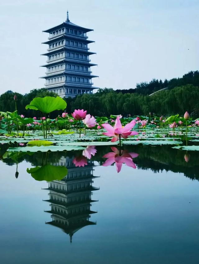 免费！西安地铁直达的6大绝美湖泊