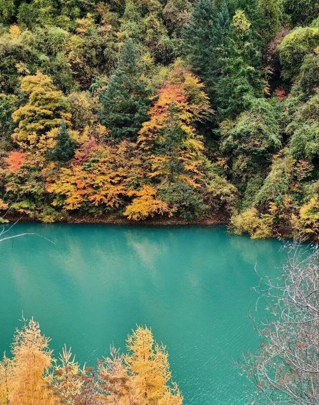 【美丽四川】平武天母湖，邂逅一场彩林与碧水的秋日盛宴‖柳红樱
