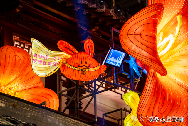 出片10000%！豫园灯亮了，上海就要过年啦！年味“天花板”，第一波美图已刷屏