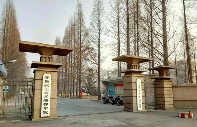 2002年两名混混因抢劫，毁了座二线城市，中国国运也被按下暂停键