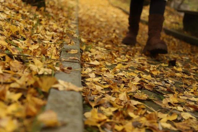 跟我回贵阳！周深发出家乡邀请，带你探寻他私藏的绿水青山！