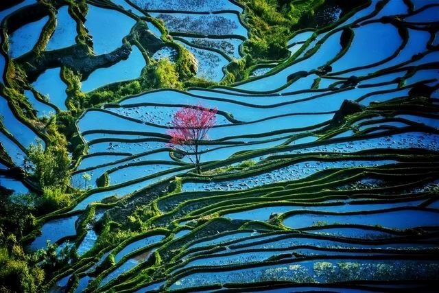 这个元旦，来元阳观赏梯田光影，参加百米长街宴吧