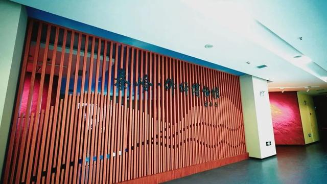 佛坪晚夏寻凉意，猫进秦岭躲避“秋老虎”！
