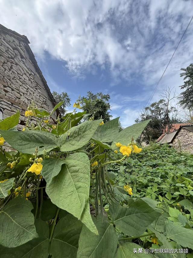 莱芜禹王山顶有座明初建立的古村：东平洲