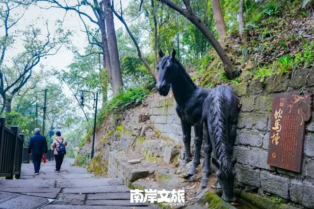 小布丁·早安 | 地名里的重庆：黄葛古道的时光故事