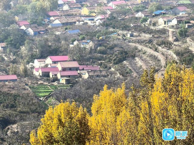 冬意初临 潍坊如诗如画