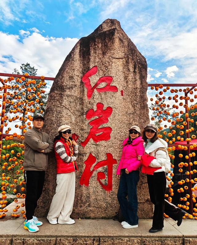 桂林：不入柿园，怎知秋色几许！