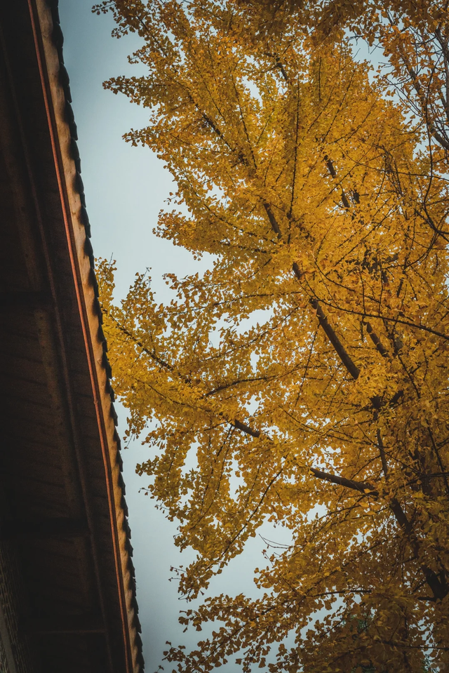 老君山，美美相约！