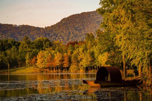 时间在这里按下暂停键，让我们见证季节变换