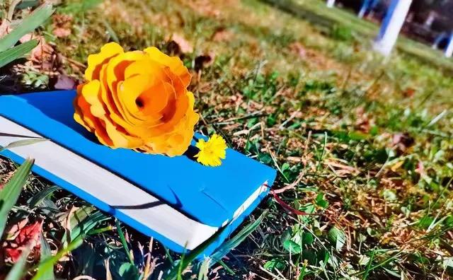 原来，一个男人对一个女人思念到了极致，是这样