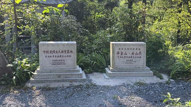 舜帝三临的"南方植物王国"：藏着长征记忆与千年茶香的"大山里"