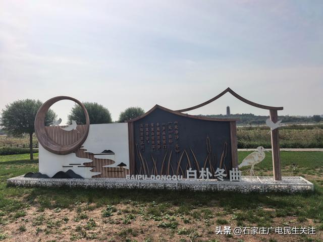 十一漫游滹沱河：乘滹沱河观光线，赴一场河湖与秋风的约会