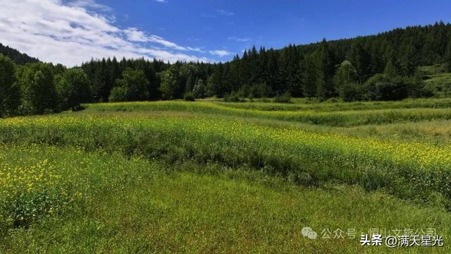 恒山讲韵|杨世骏:东方小瑞士东葫芦头村,花海美成阿勒泰既视感