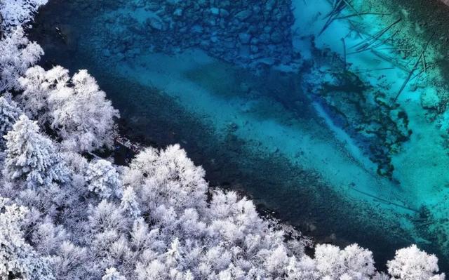 九寨沟冬日限定皮肤上线！快来九寨沟赏雪林彩池啦~