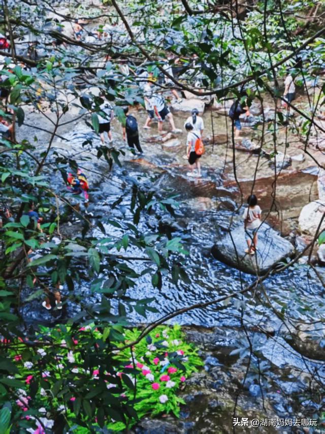 告别36℃热浪！长沙“小荔波”藏着28℃清凉，带娃溯溪玩不停！