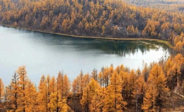 阿尔山成假期“反向出行”首选！热度暴涨340%的秘密藏不住了