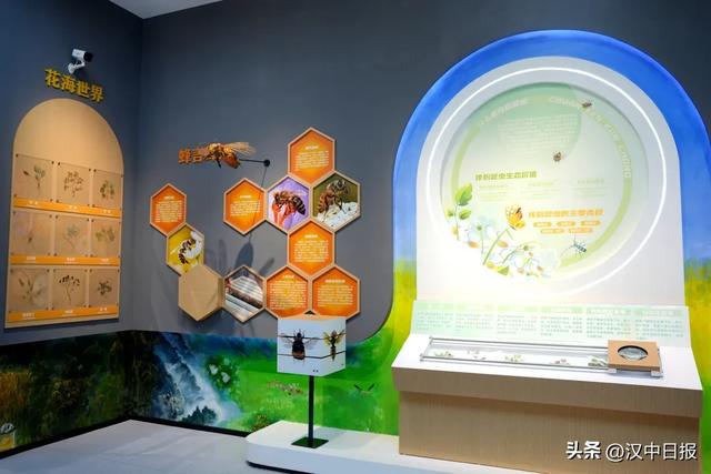 留坝秦岭生物多样性体验馆成热门打卡地