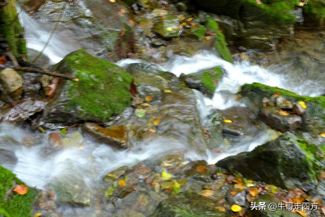 河北百草畔（上）：风动孤石悬险韵，蚁巡深岭蕴生机