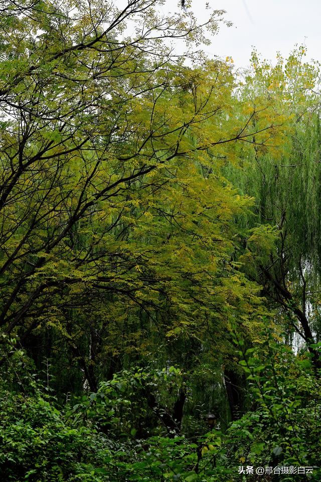 达活泉，这才是秋天该有的样子（图）