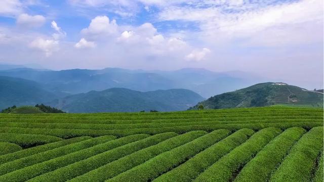 日照:被低估的宝藏滨海小城,极致演绎诗意与浪漫