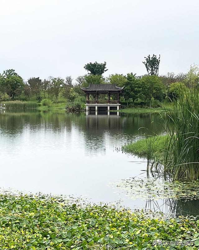 成都最近紫薇花公园，被严重低估，花开惊艳，地铁公交车直达！