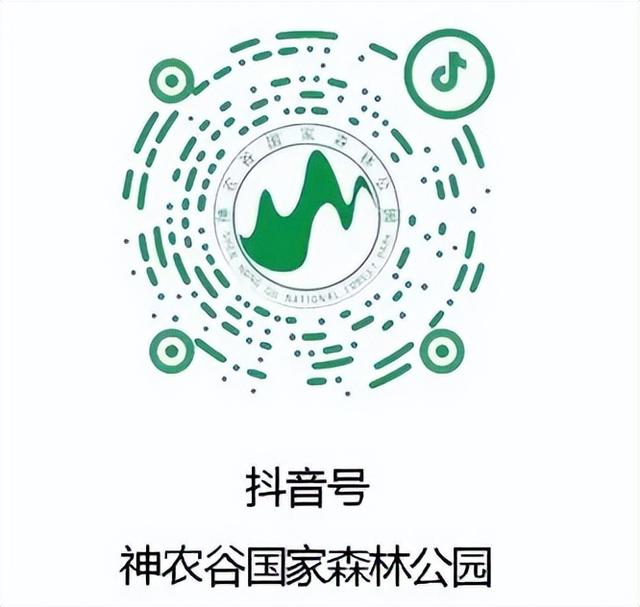 出行攻略来了！开不开车都能丝滑去神农谷避暑~