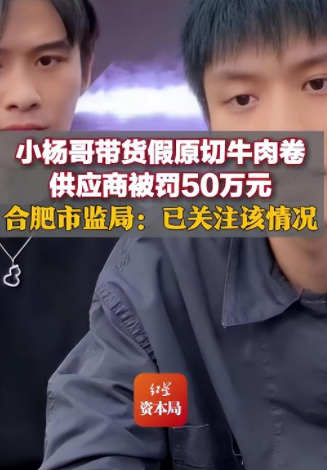 国务院点名封杀！这几位坑蒙老百姓的网红，直播带货路彻底堵死