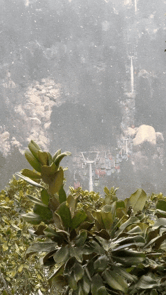 终于等到你！第一波济宁雪景大片来了！