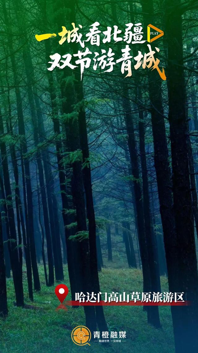 过瘾！坐船夜游黄河，呼和浩特满足你！顺便打个卡～