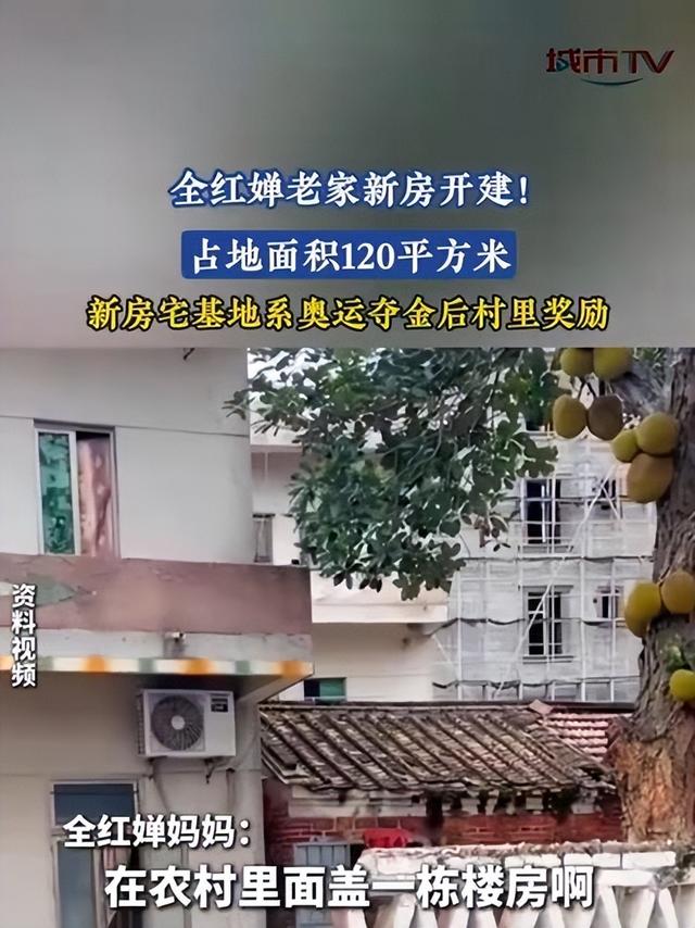 全红婵家建房最新情况：施工受阻，邻居仍不肯砍树，现场照片曝光