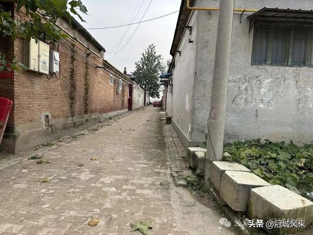 冠县乡韵·桑阿镇轧庄