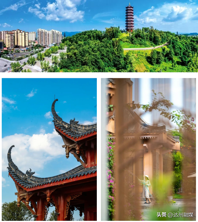 玩转渠县|银杏帽的风，终于吹到了渠县文峰山！