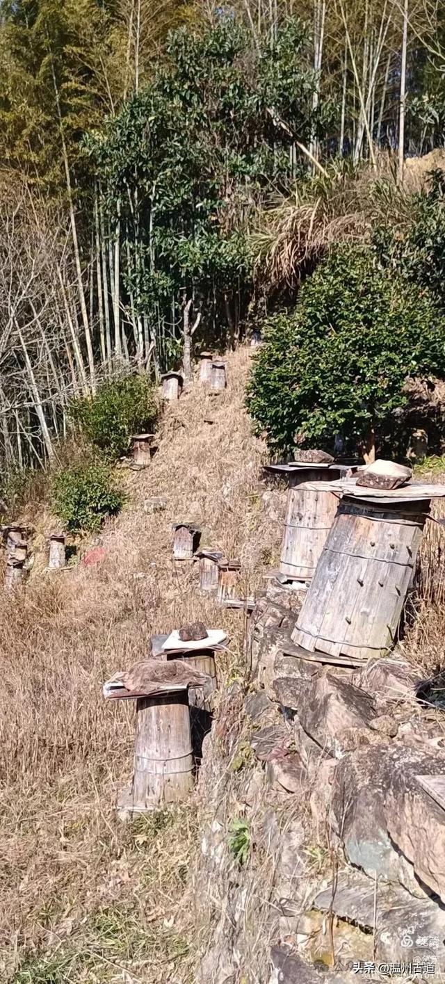 五次试走，终于揭开楠溪江源头永仙边界这条防火道的神秘面纱！