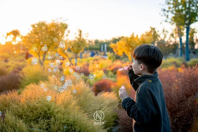 童话世界！深秋的生态城，美成了一幅画