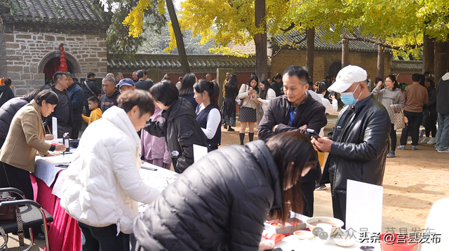 首日突破10000人！浮来山银杏季从从容容花式“宠客”！
