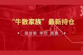 “牛散家族”最新持仓明细 | 周信钢、李欣、周晨持有哪些股票？图片
