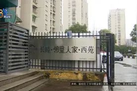 她这一放，沙发“消失”了图片