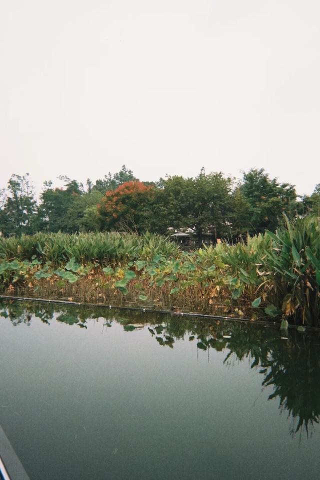 在成都西北郊区，这个渐渐淡出视野的最美乡村，还值得一去吗？
