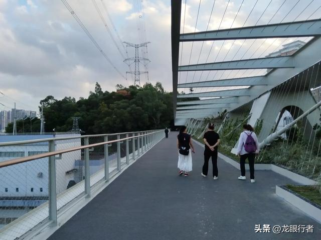 从地铁口出发，游逛刚刚开放的鲲鹏径二号及三号桥